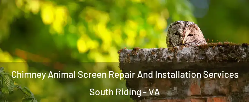 Chimney Animal Screen Repair And Installation Services South Riding - VA