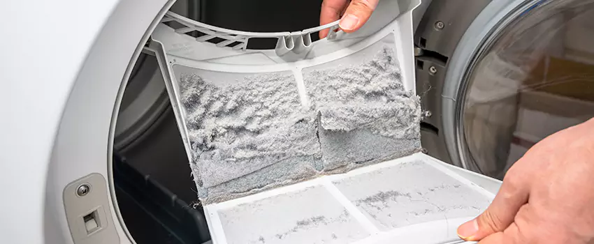 Best Dryer Lint Removal Company in South Riding, Virginia