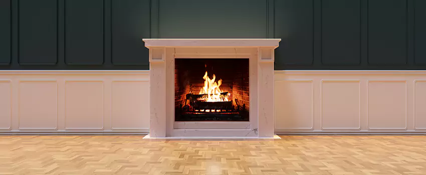 Napoleon Electric Fireplaces Inspection Service in South Riding, Virginia