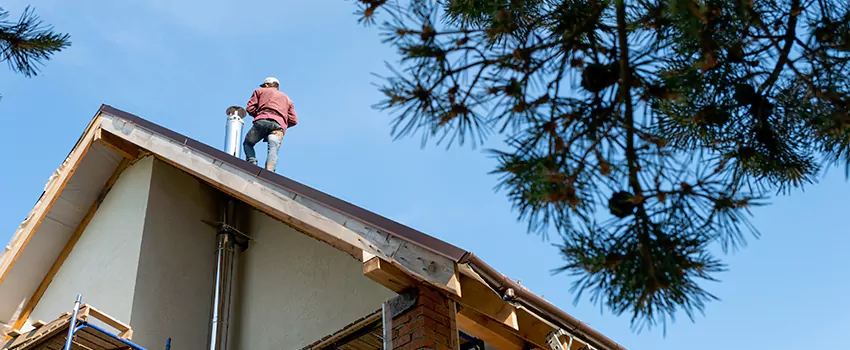 Birds Removal Contractors from Chimney in South Riding, VA